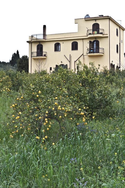 הוילה בגרייה Agriturismo Rajata מראה חיצוני תמונה